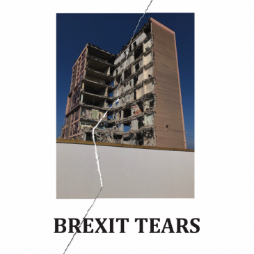 Brexit Tears Interview – Street Level Photoworks Calum Colvin and Robert Crawford 18/2/21